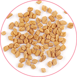 Femini Plus Imagredient